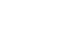 Fender