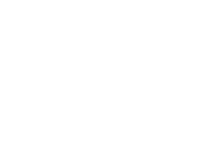 Korg